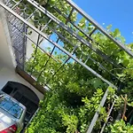 아파트 Jelena