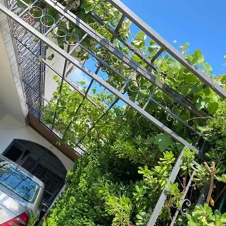 Apartman Jelena